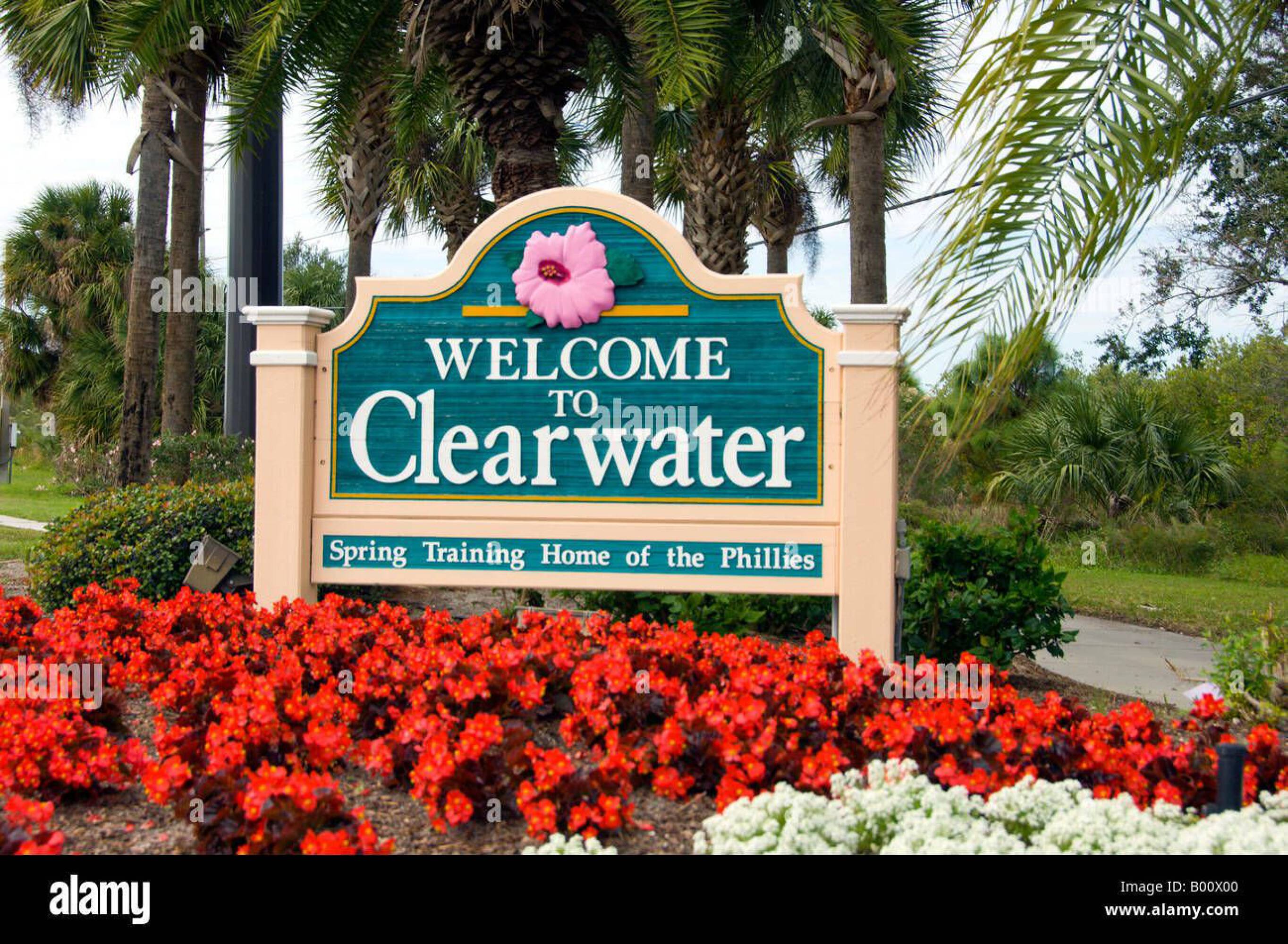 MEDICAL AND PROFESSIONAL OFFICE FOR LEASE IN CLEARWATER